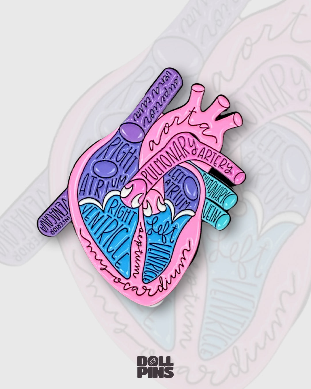 CORAZÓN ANATÓMICO