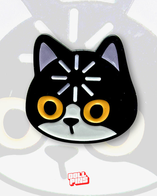 GATO CARGANDO