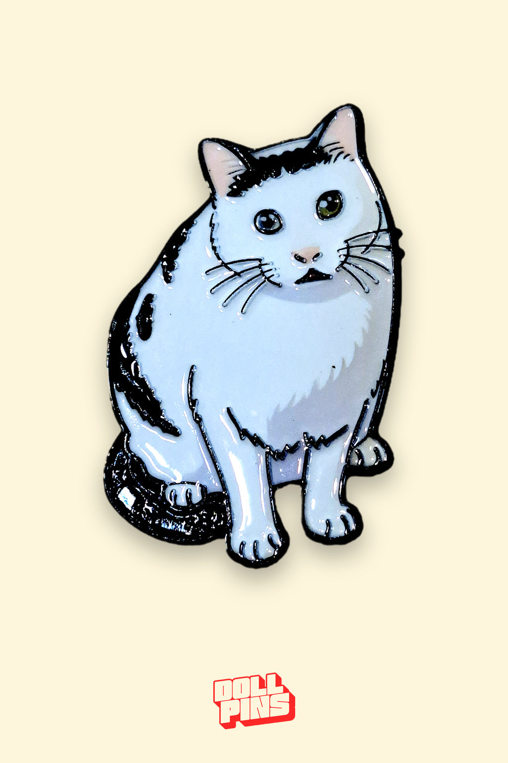GATO IMPACTADO
