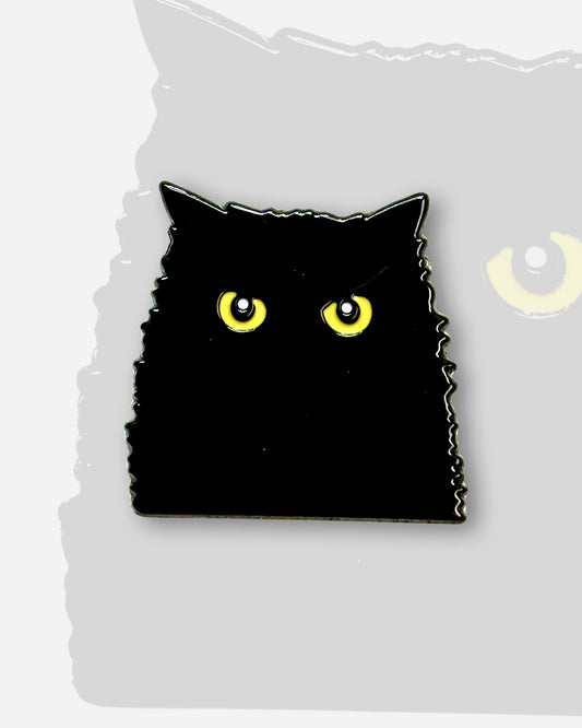 GATO NEGRO MISTERIOSO